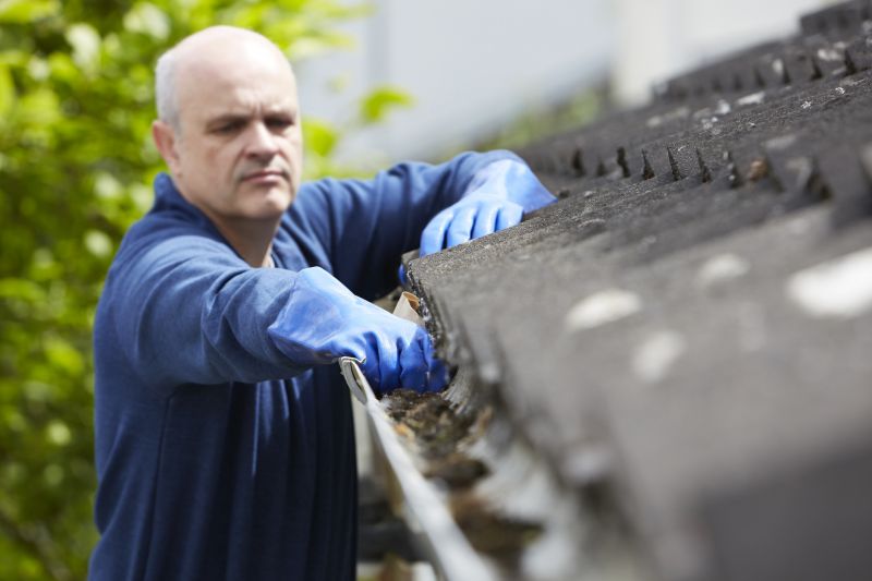 Gutter and Surface Cleaning
